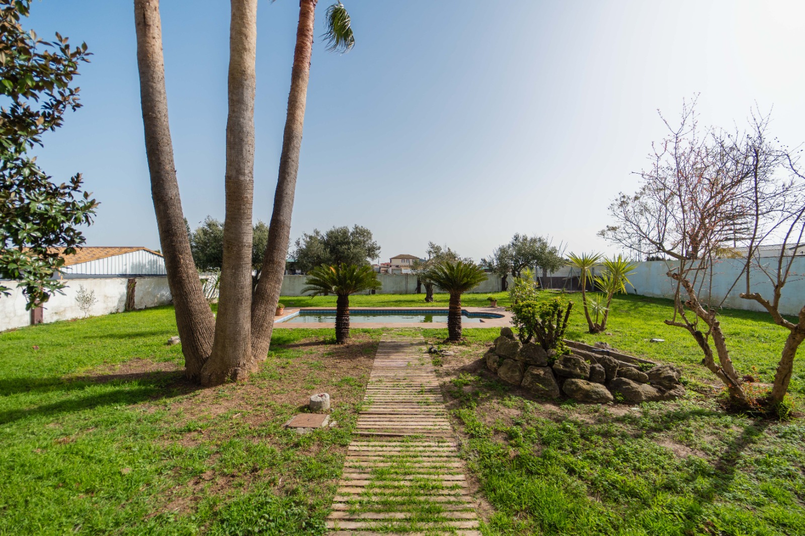 Casa o chalet independiente en venta en Camino de la Jara s/n — Imagen 6